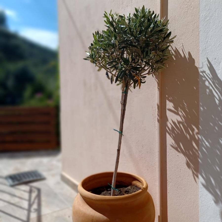 Μπουκαμβίλια - Bougainvillea Syvota Dış mekan fotoğraf